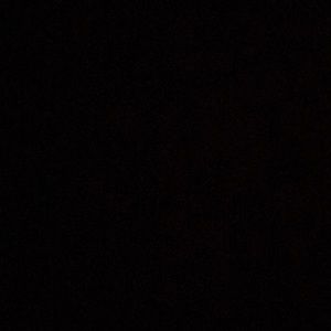 Meet your Posher, Brayden